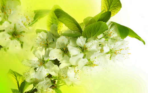 907025 (a): :2560x1600